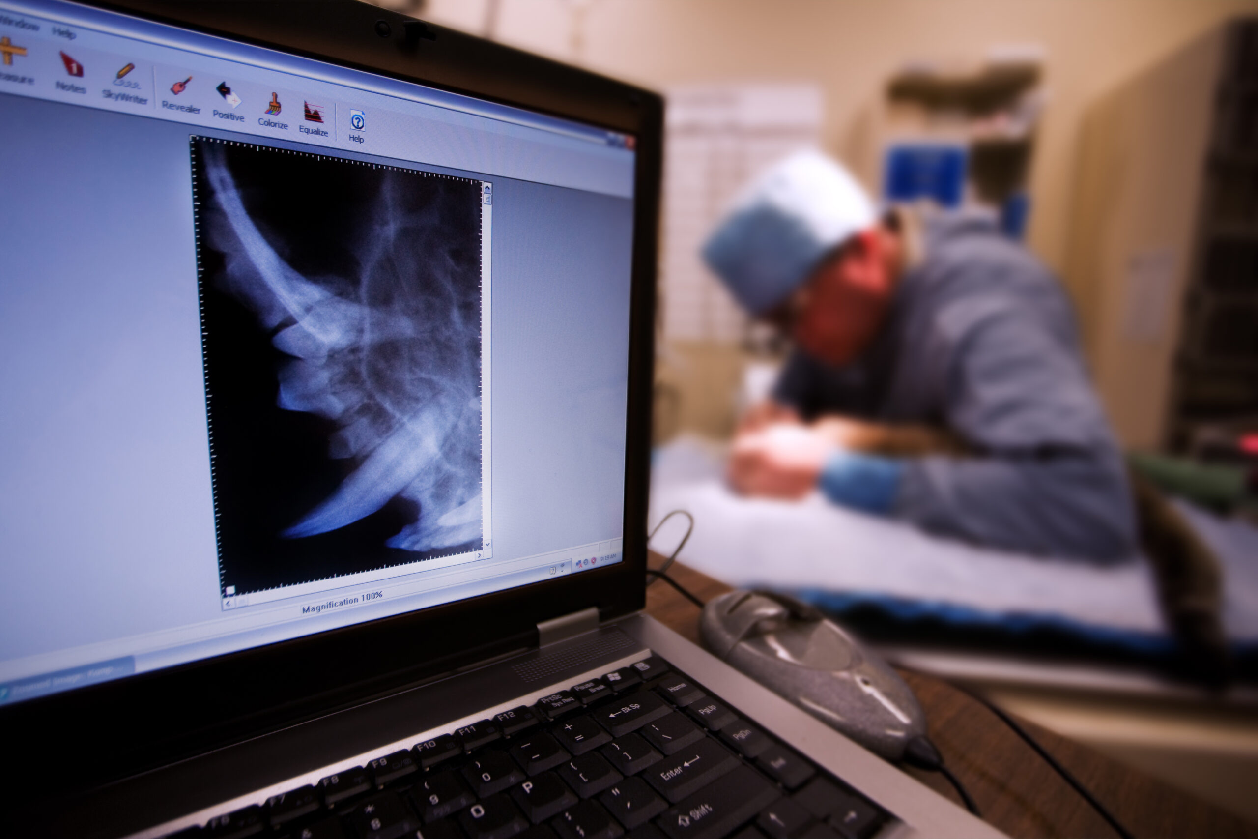 Veterinarian performing dental surgery on small cat with X-Ray in foreground